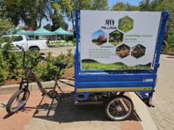 HIPPO E-Tricycle peddle assisted